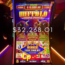 Game Statistics Cpbet